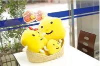 青山校＜新潟本部＞