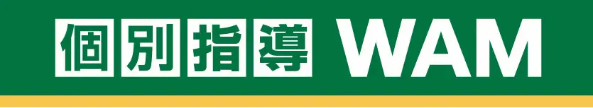個別指導WAM