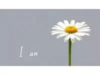 個別指導Academy_Ｉam