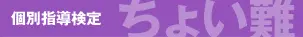 個別指導検定